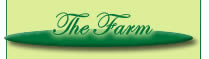 The Farm in Norcia, Umbria, Italy