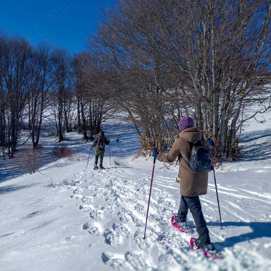Ciaspolate sulla neve